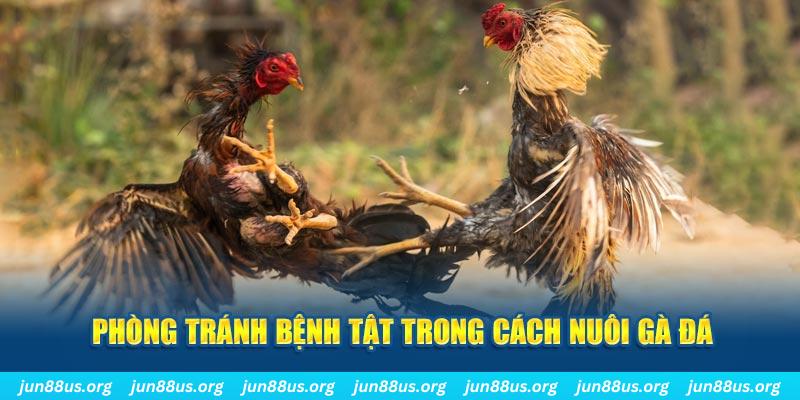 go88 club casino LINK MỚI
